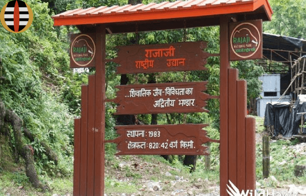 Rajaji National Park-Rishikesh